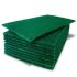 Green Premium Scouring pad: HL007 (10)