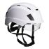 Portwest Integrated Safety Helmet Visor: PS80