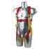 FP10 - Full Body Harness
