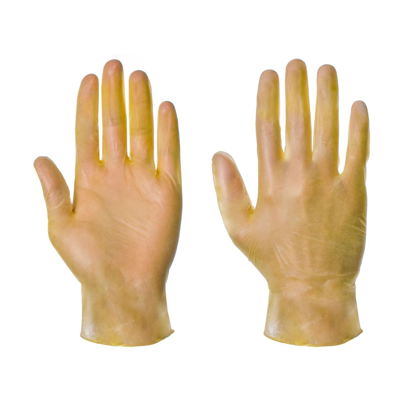 1121 - Vinyl Powder Free Glove (1000) 